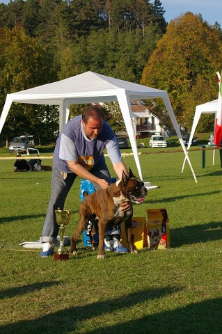 www.boxer-show.eu